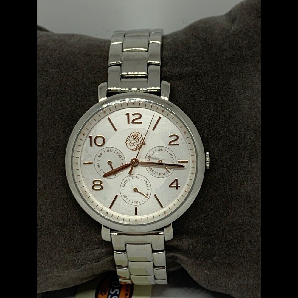 Fossil PR2107 Womens Stainless Steel Analog Silver Dial Quartz Wrist Watch GE139